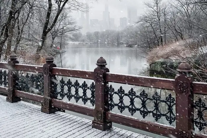 snow falls lightly on Central Park